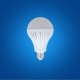 Led bulb XS-BL102